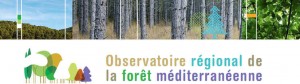 observatoire de la forêt méditerranéenne