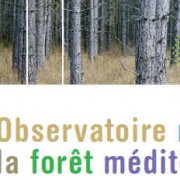 observatoire de la forêt méditerranéenne